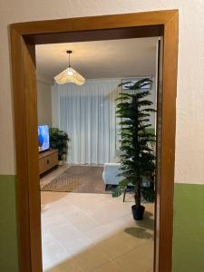 Frog House - Plazh, Durrës
