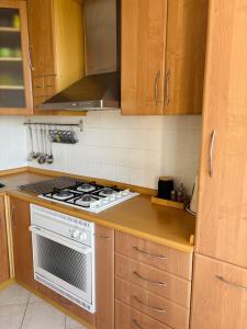 Cozy apartment with balcony