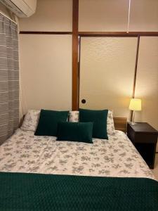 Shinsaibashi apartment