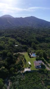 Tenuta il Castagno
