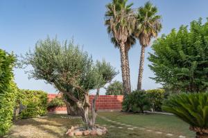 Oasi San Vito - Holiday Villa with Garden