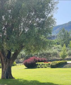 Tenuta il Castagno