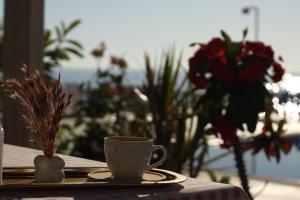 Hakan Pension