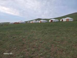 Steppe Naadam Lodge