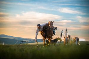 Steppe Naadam Lodge