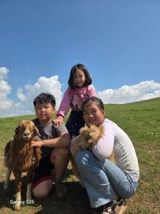 Steppe Naadam Lodge