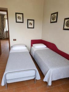 Tenuta LOliveta