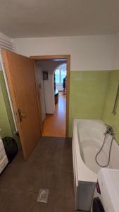 Apartma Olga