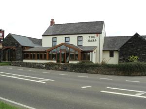 The Harp at Letterston