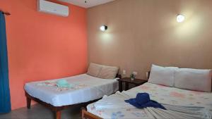 Ometepe House