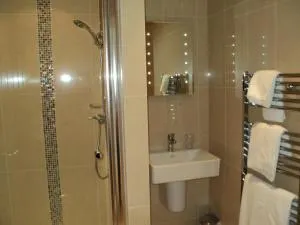 雷特斯顿竖琴酒店 - 卡迪根