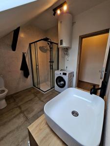 Útulný podkrovný apartmán, Pet Friendly