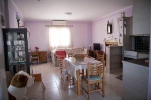 Irida Suite
