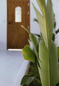Sea Whisper Suites with private Cycladic patio and heated pool - sea side