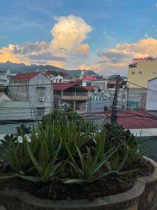 Meow Homestay Cao Bằng