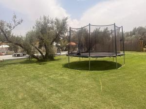Dar Zeitoun - Piscine et jardin route de Fès