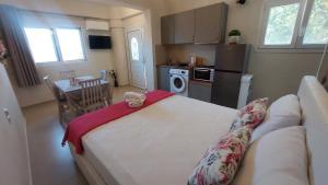 Odysseus Cozy Seaview Studio
