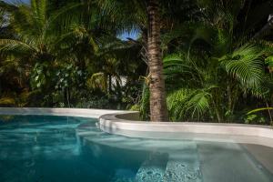 El Corazón Boutique Hotel - Adults Only with Pool & Beach Club Access