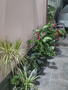 Vila Çuka