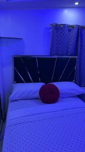 Centrally located apartment, close to everything