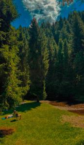 Ośrodek Nad Potokiem-domek nr13