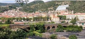 Terrazza sui tetti di Taggia