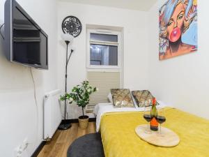 Mansion Haven in Lannilis for 8