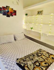 1bhk with projector premium