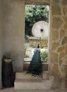 Candalù - Villa Giardinata