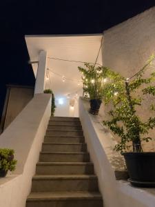 La Rosa