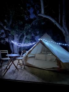 BajaRoots Glamping