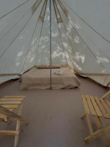 BajaRoots Glamping