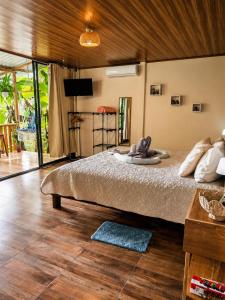 Eden Paradise, La Fortuna