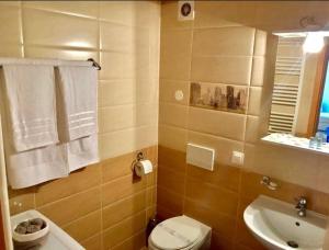 Family Apartment CORESI MALL