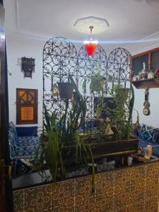 Appartement meublé 5 personnes en plein centre ville