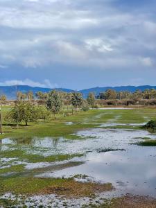 CABAÑA Willys country club Cauquenes