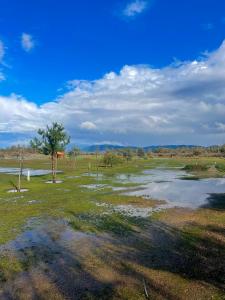 CABAÑA Willys country club Cauquenes