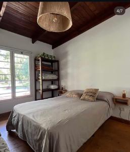 Casa Leo