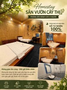 Homestay CÂY THỊ