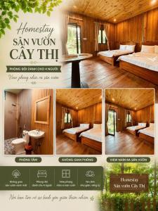 Homestay CÂY THỊ