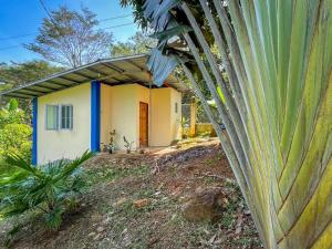 Blue Moon Guesthouse