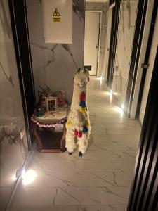 Cuarto privado en departamento compartido