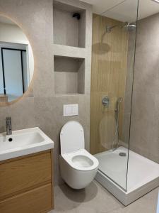 Hasdeu elegant apartment with pool