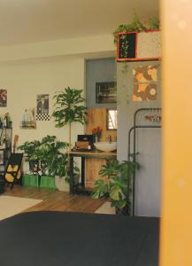Nhà của Khoai - homestay