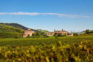 Tenuta Santavenere