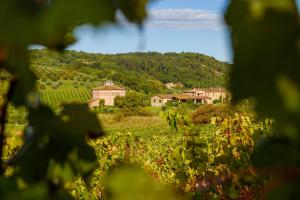 Tenuta Santavenere