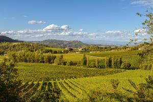 Tenuta Santavenere