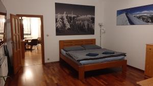 Apartmán vila Vítkovice