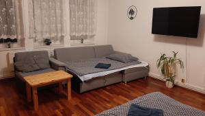 Apartmán vila Vítkovice