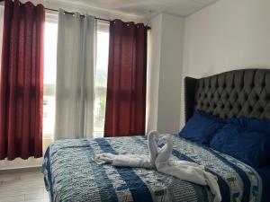 Comfort Apt Arboleda 186